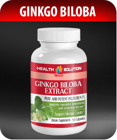 Ginkgo Biloba 120mg by Vitamin Prime